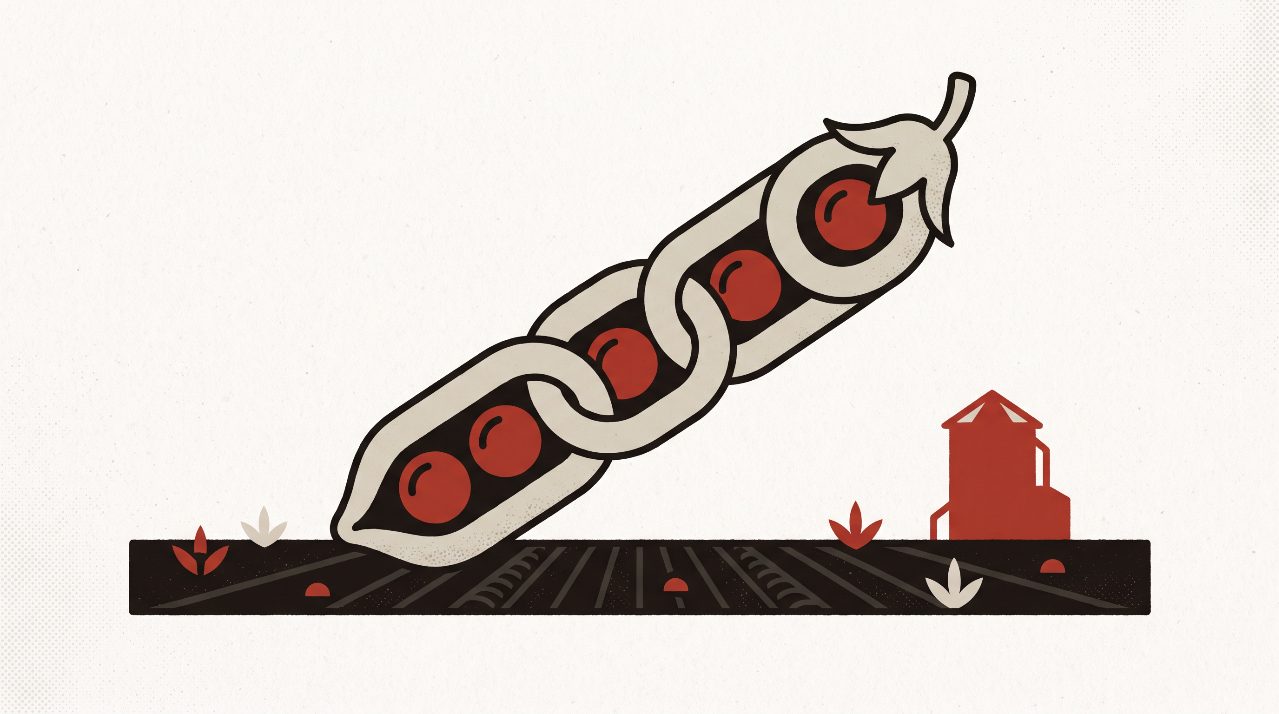 Developing sustainable and competitive land-based protein crop systems and value chains